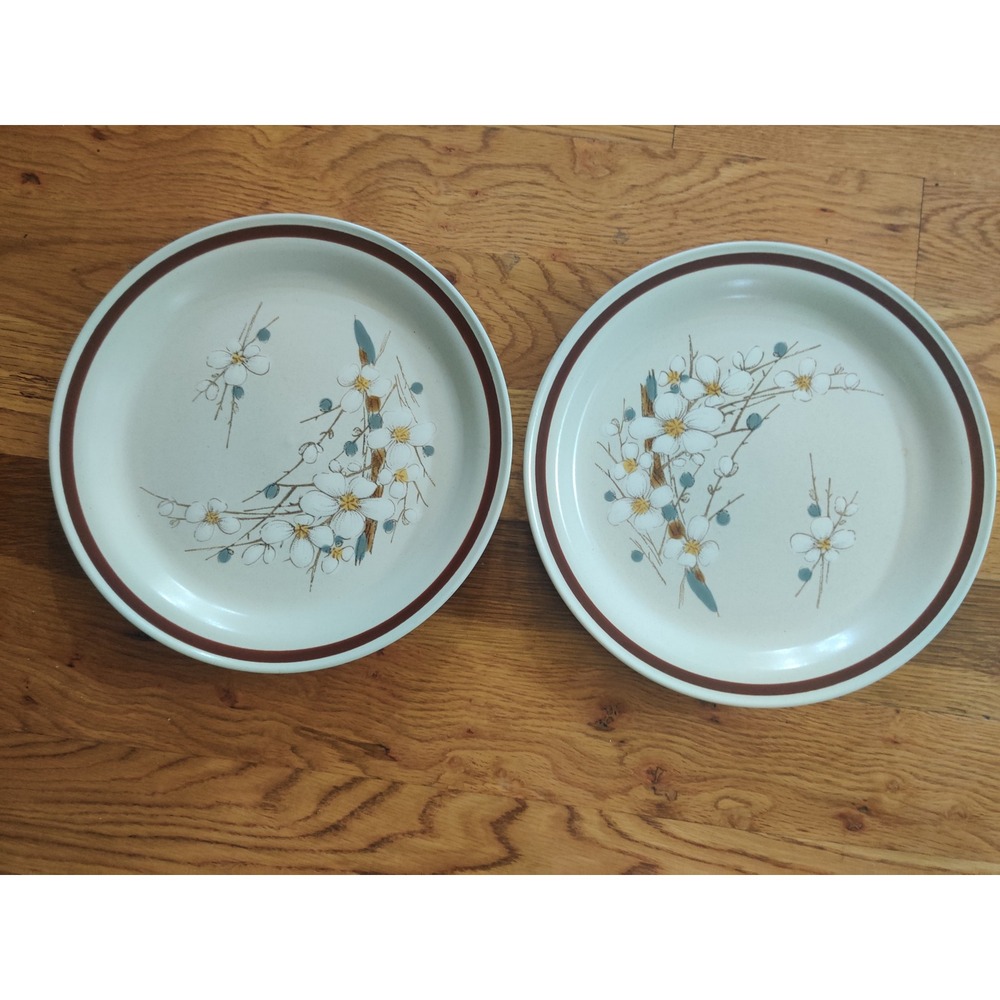 Country Living Timberline Dinner Plates Set of 2 Floral Stoneware Japan Vintage